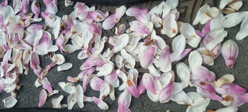 20260415_124413 (1).jpg