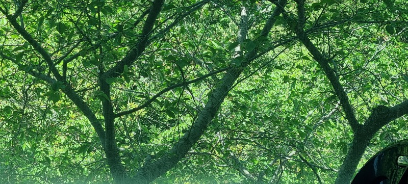 20260425_104106.jpg