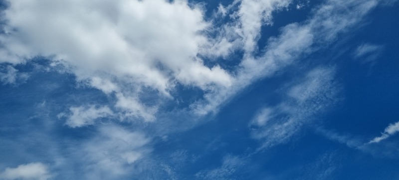 20260727_132515.jpg