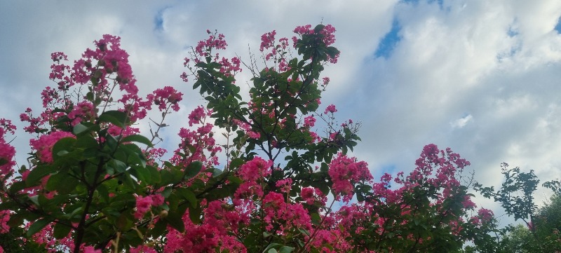 20260905_172110.jpg