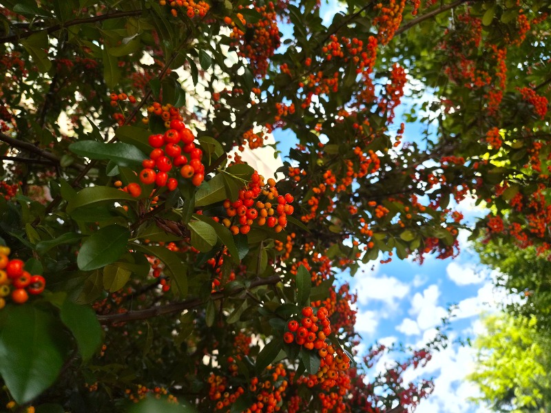 20261009_161341.jpg